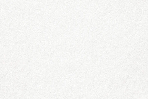 fond de papier blanc, texture de carton fibreux pour le scrapbooking - frond photos et images de collection