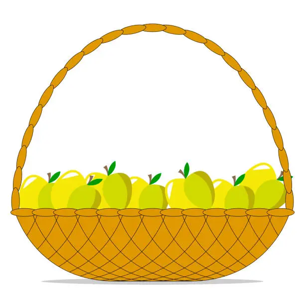 Vector illustration of basket of yellow-green juicy ripe apples