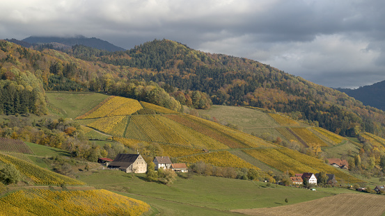 Lush hillsides surrounding houses in the countryside