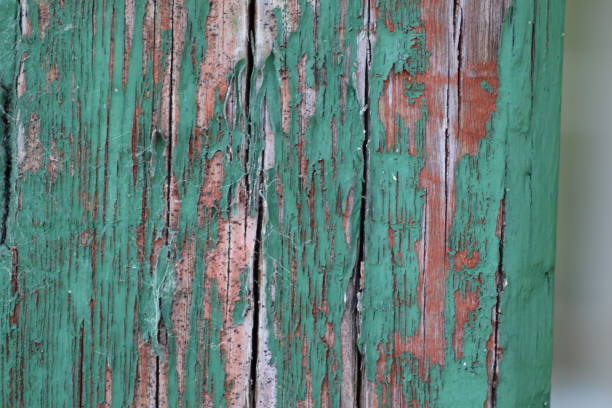 Weathered wood