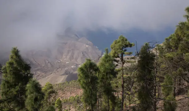 Photo of Gran Canaria, landscape of the mountainous part of the island in the Nature Park Tamadaba, 
hiking route to Faneque