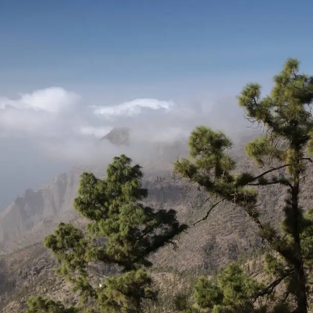 Photo of Gran Canaria, landscape of the central montainous part of the island, Las Cumbres, ie The Summits,
hiking route to Altavista