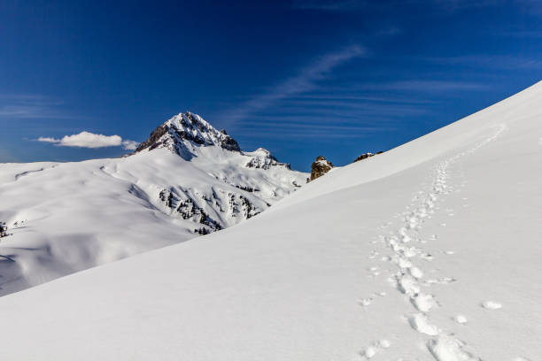 Snowy path to Mount Garibaldi, Squamish, British Columbia, Canada