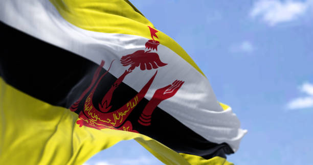 晴れた日に風に手を振るブルネイの国旗の詳細 - brunei flag ストックフォトと画像