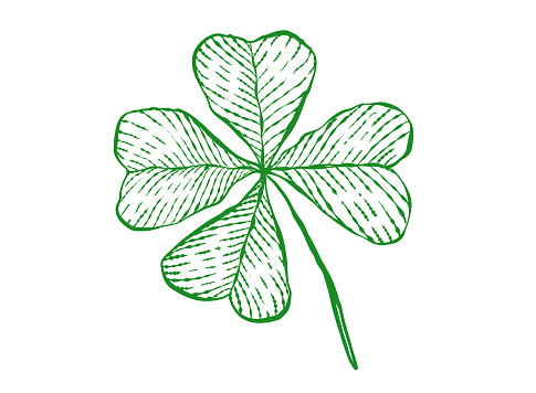 Vector vintage icon of clover for Patrick's day. Vintage green lucky clover with four leaf in hand drawing style.