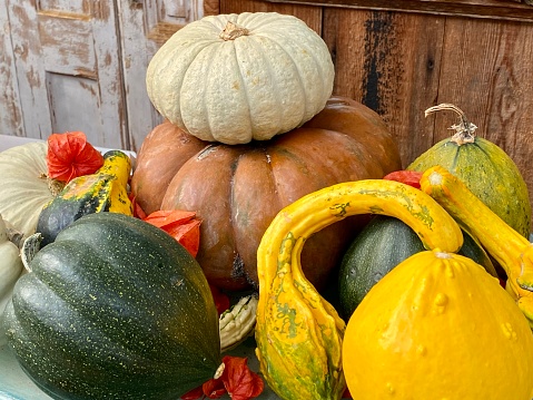 Unusual shaped and very colourful gourds