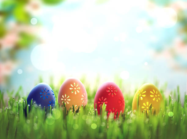 istock Easter eggs in grass against blue blooming background. Spring holidays concept. 1370556386