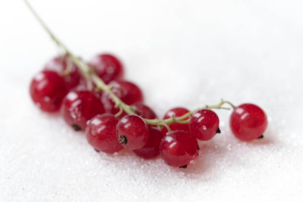 Photo of sweet currant isolated over white sugar background.
