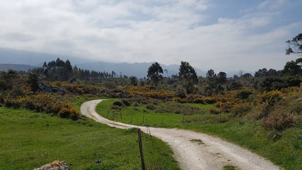 istock Rural countryside road 1370557433
