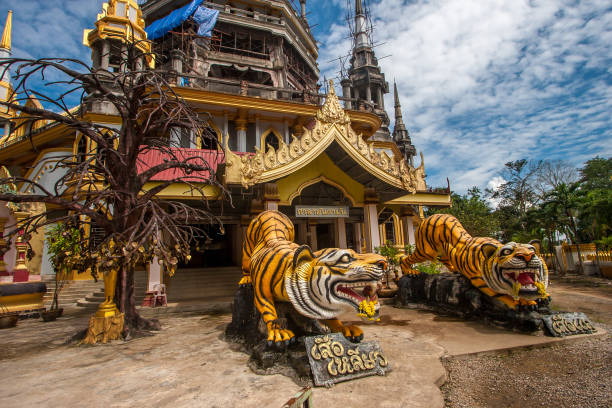 Two sculptures of tigers and a wish tree at the entrance to a Buddhist temple. Tigers are yellow with black stripes. Two sculptures of tigers and a wish tree at the entrance to a Buddhist temple. Tigers are yellow with black stripes. Horizontal image. wat tham sua stock pictures, royalty-free photos & images