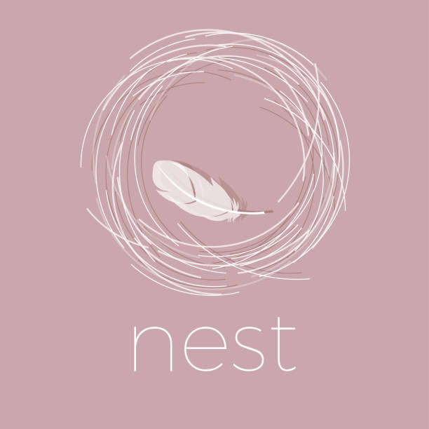 illustrazioni stock, clip art, cartoni animati e icone di tendenza di emblema del nido. emblema morbido e confortevole.  nido con piuma. - nido di animale