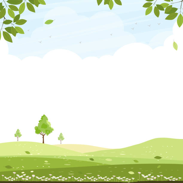 illustrazioni stock, clip art, cartoni animati e icone di tendenza di paesaggio naturale primaverile con uccelli volanti, nuvole, cielo blu su campo verde con alberi e lasciare a bordo. sfondo scenario vettoriale, prato rurale estivo o primaverile con fiori selvatici, banner pasquale - giardiniere di panorama