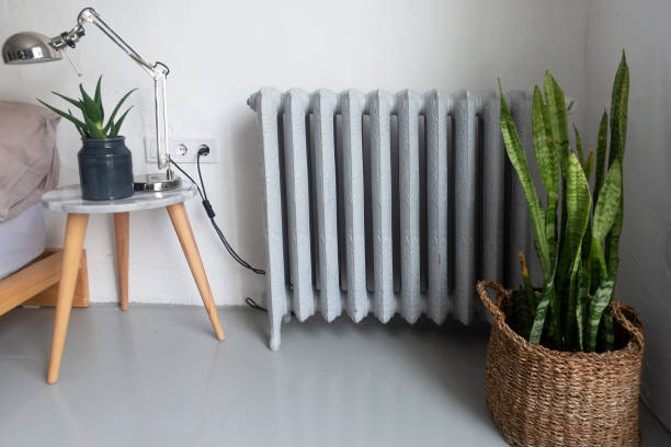 istock HousePlants in pots for home decoration 1370570047