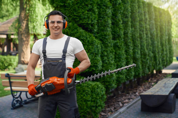 istock Man in overalls holding hedge trimmer while posing at garden 1370570149