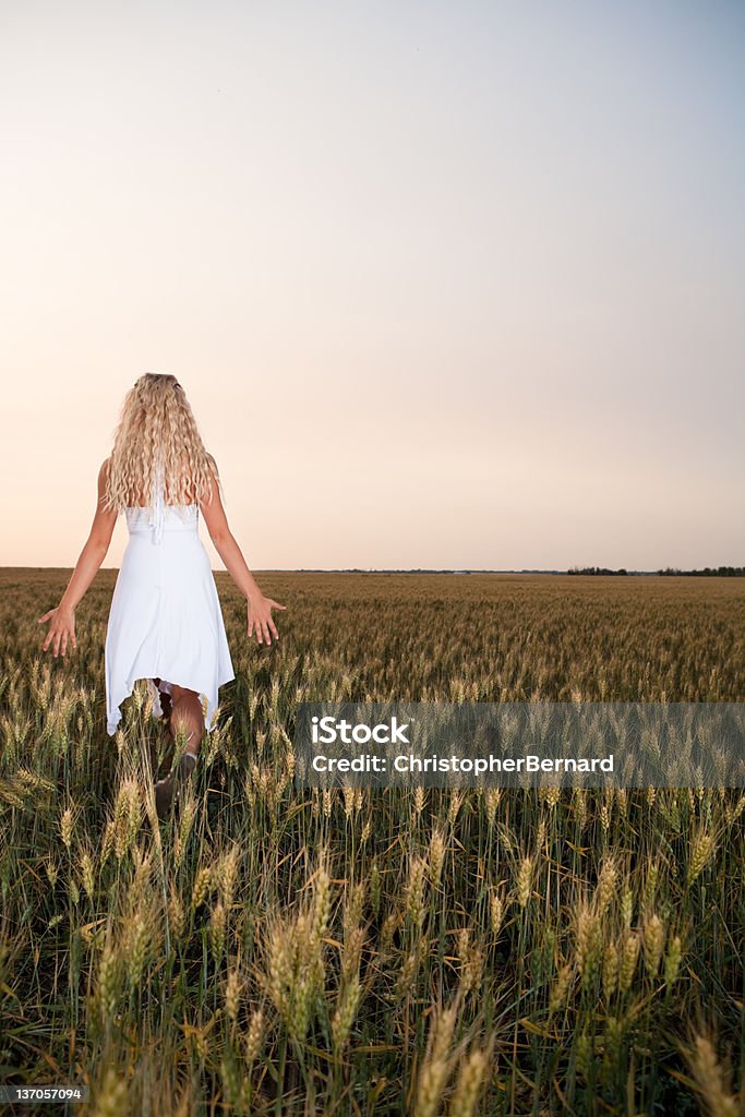 Backview 若い女性の小麦のフィールドへ - 女性のロイヤリティフリーストックフォト