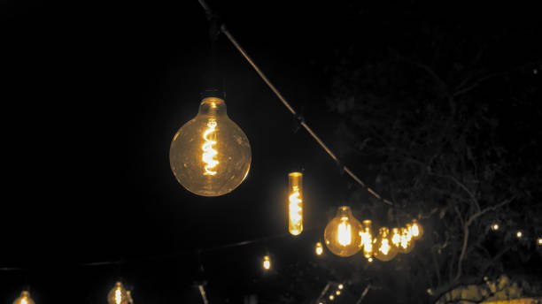 istock Edison's vintage retro-style light bulbs hang on cables in the dark, outdoors in the backyard. The tree in the background 1370571065