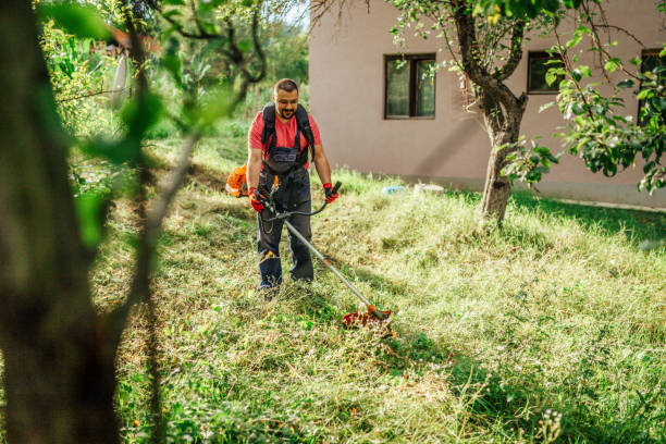 homem mowing a grama - podador - fotografias e filmes do acervo