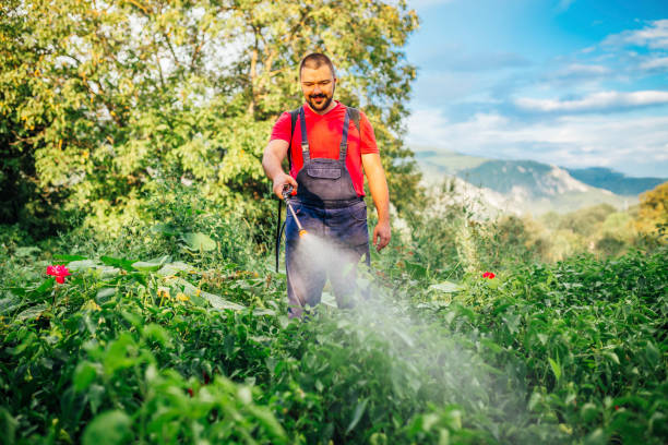 istock Farmer is spraying herbicide on garden 1370572259
