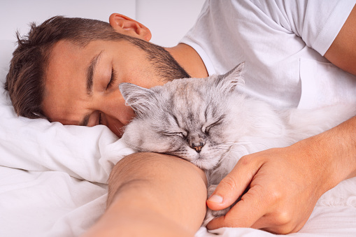 Man sleeping with cat. Lovely cat and owner. Love and trust between people and pets. High quality photo