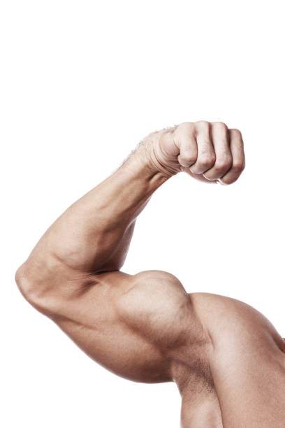 istock Muscular male arm with bicep peak 1370575931