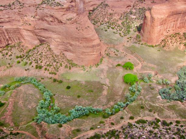 Canyon de Chelly's Chinle Creek in springtime, Canyon de Chelly National Monument Flowing Chinle Creek runs through the lush green valley floor in May. Chinle Creek is a tributary stream of the San Juan River in Apache County, Arizona. Its name is derived from the Navajo word ch'inili meaning 'where the waters came out'. Canyon de Chelly National Monument is in Chinle, Arizona. chinle arizona stock pictures, royalty-free photos & images