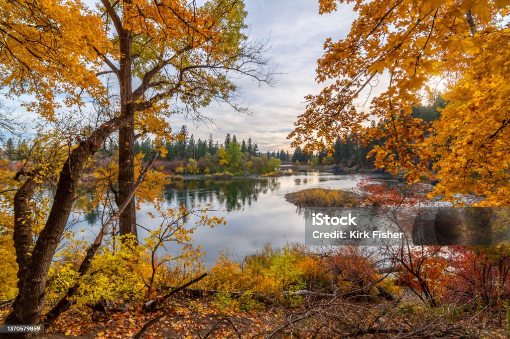The small beach and swimming hole area at Plantes Ferry Park in the Spokane Valley area of Spokane, Washington, USA at Autumn. Part of the Centennial Trail Maple Tree Stock Photo