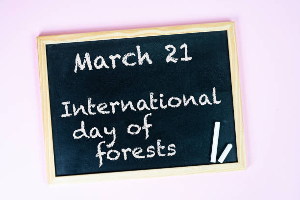 istock International Day of Forests 1370581302