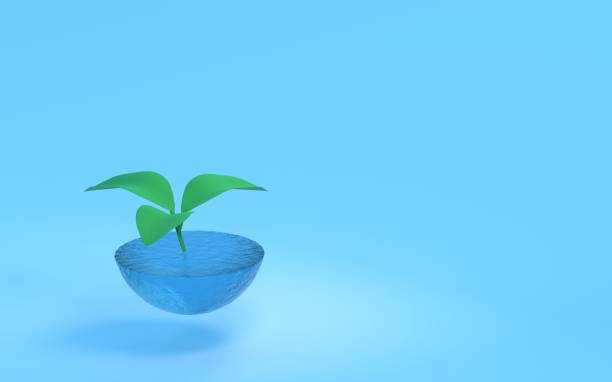 istock 3DCG Young leaves and water planter, SDGs environmental protection image, with copy space 1370583192