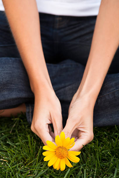 istock Close-up hand holding yellow daisy 137058333