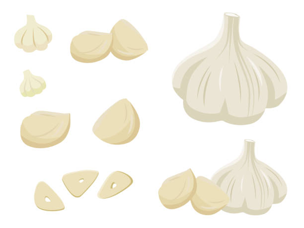 knoblauch-illustration (knoblauch, ausdauer, gewürze, gemüse) eine illustration von knoblauch. knoblauch, ausdauer, gewürze und gemüse. - clove spice isolated white stock-grafiken, -clipart, -cartoons und -symbole