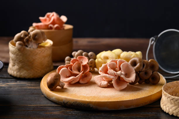 istock Mixed fresh mushroom (Edible mushroom) on wooden background 1370584733