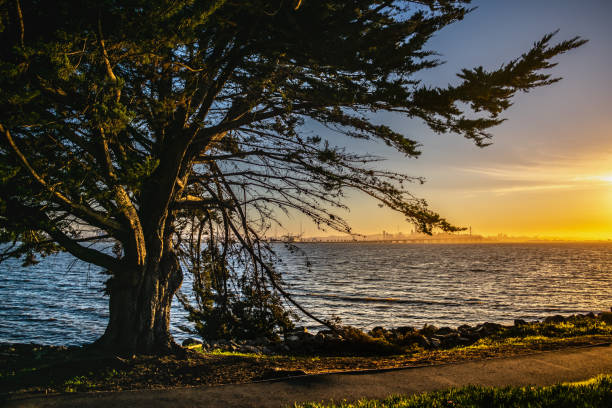 The ocean view is from Emeryville city.