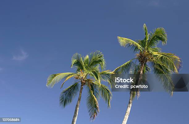 Duas Mãos - Fotografias de stock e mais imagens de Ao Ar Livre - Ao Ar Livre, Areia, Azul