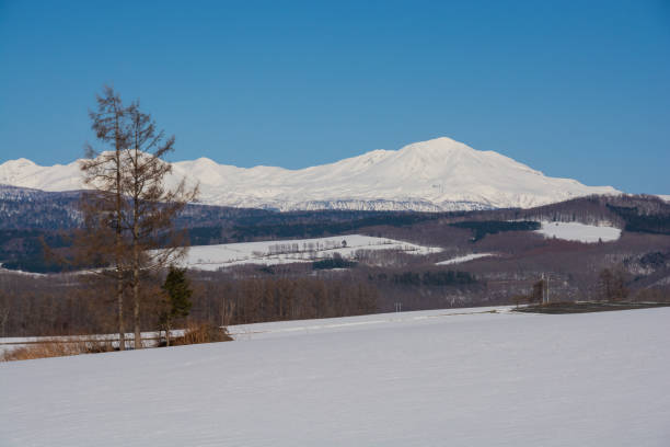 istock Upland field where snow remains and snowy mountains 1370587455