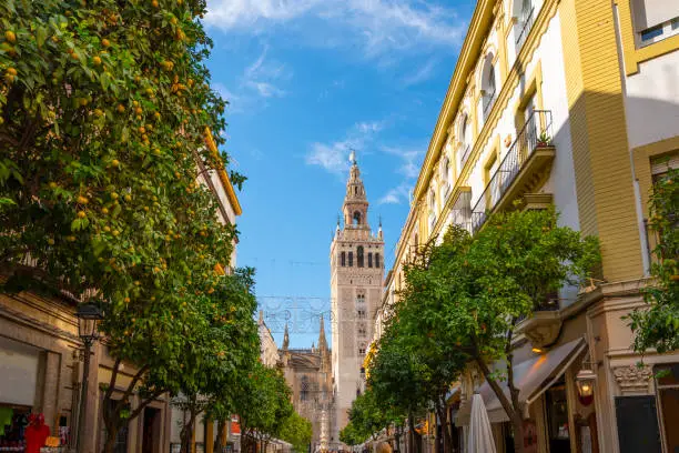 A typical orange tree lined street in the Barrio Santa Cruz district of Seville, Spain, with the cathedral and Giralda Tower in the distance.