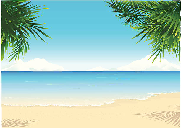 ilustraciones, imágenes clip art, dibujos animados e iconos de stock de paradise beach - sand beach summer backgrounds