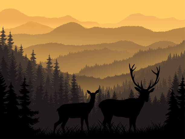 ilustrações de stock, clip art, desenhos animados e ícones de vector mountains with silhouettes of deers - southern rocky mountains