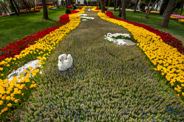 istock Ottoman tulips in Emirgan grove 1370594164