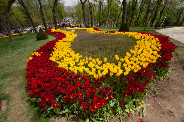 istock Ottoman tulips in Emirgan grove 1370594396