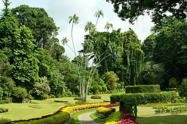 Photo of Botanical gardens