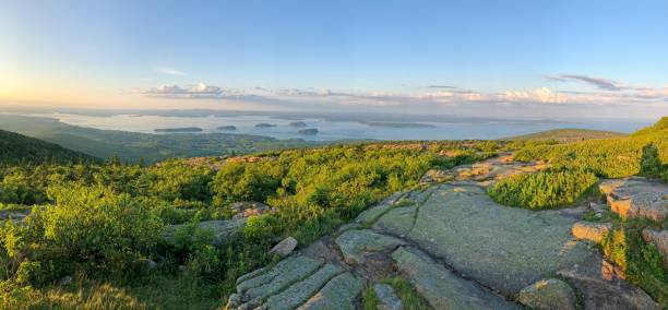 blick auf den mount desert narrows waterway in der späten nachmittagssonne mit granitfelsen, subalpiner vegetation in der nähe des gipfels des cadillac mountain im acadia national park - cadillac mountain stock-fotos und bilder