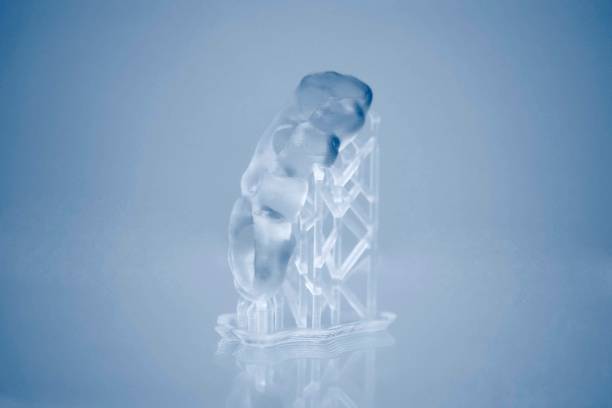 istock Human jaw printed on 3d printer of photopolymer. 1370597974