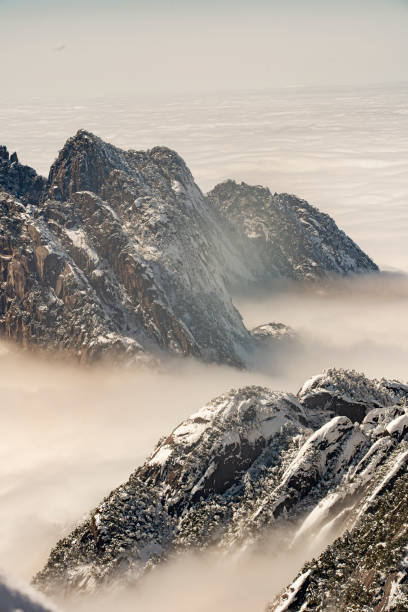 istock Chinese mountain Huangshan in clouds sunset 1370604298
