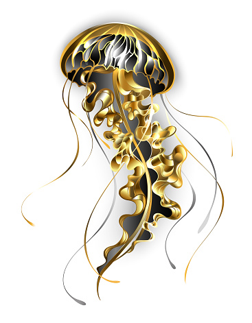 Large, golden, artistically drawn, jewelry jellyfish, with long, black tentacles on white background.