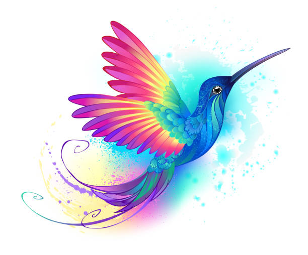 Exotic rainbow hummingbird Bright, iridescent, exotic flying hummingbird on white background, painted over with multicolor, watercolor paint. Rainbow hummingbird. hummingbird watercolor stock illustrations