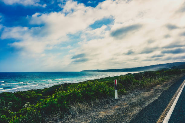 istock View over plants to the beach and ocean in Australia. 1370615785