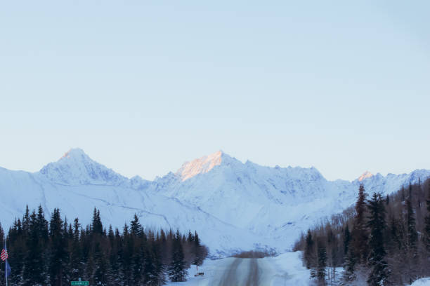 アラスカハイウェイ冬の運転 - 4758 ストックフォトと画像