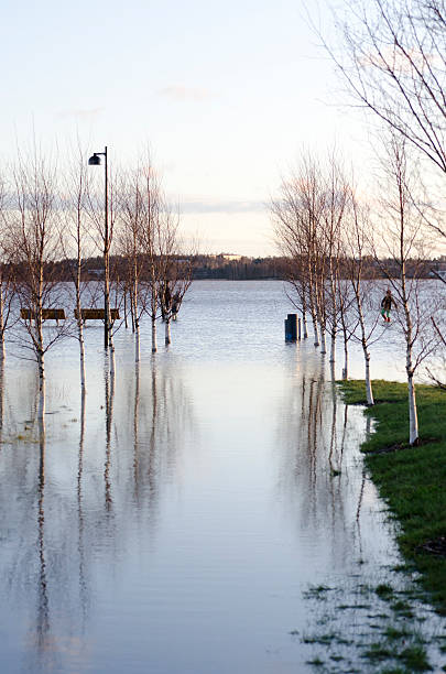 istock Winter flood in Arabianranta 137062483