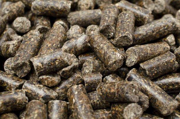 Sunflower meal in granules is used for feeding animals, fish and birds. Pellets from sunflower meal, background. Sunflower meal in granules is used for feeding animals, fish and birds. Sunflower pellets are protein raw materials for the production of feed. Sunflower cake. pellet gun stock pictures, royalty-free photos & images