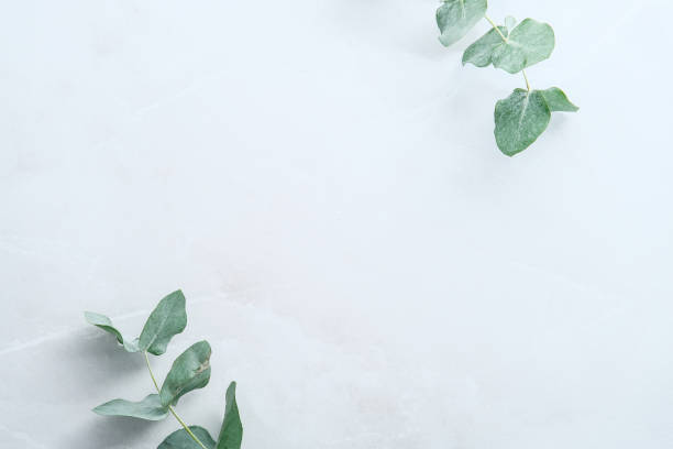 istock Eucalyptus leaves on stone table. Frame made of eucalyptus plant branches. Flat lay, top view, vertical. 1370629493